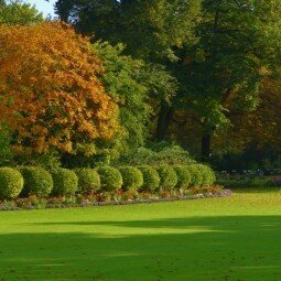 Красивый парк - Beautiful park